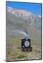La Trochita, the Old Patagonian Express Between Esquel and El Maiten in Chubut Province, Patagonia-Michael Runkel-Mounted Photographic Print