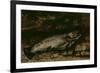 La truite-Gustave Courbet-Framed Giclee Print