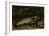 La truite-Gustave Courbet-Framed Giclee Print