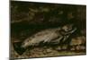 La truite-Gustave Courbet-Mounted Giclee Print