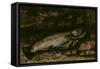 La truite-Gustave Courbet-Framed Stretched Canvas