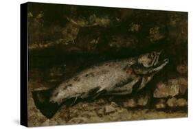 La truite-Gustave Courbet-Stretched Canvas