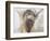 La Vache,Cow, 2015-Lou Gibbs-Framed Giclee Print