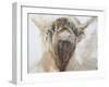 La Vache,Cow, 2015-Lou Gibbs-Framed Giclee Print