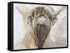 La Vache,Cow, 2015-Lou Gibbs-Framed Stretched Canvas