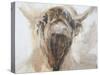 La Vache,Cow, 2015-Lou Gibbs-Stretched Canvas