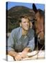 La Vallee by la Vengeance VENGEANCE VALLEY by RichardThorpe with Burt Lancaster, 1951 (photo)-null-Stretched Canvas