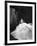 La Valse dans l'ombre WATERLOO BRIDGE by Mervin Leroy with Vivien Leigh, 1940 (b/w photo)-null-Framed Photo