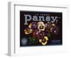 La Verne Pansy Brand - La Verne, California - Citrus Crate Label-Lantern Press-Framed Art Print