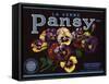 La Verne Pansy Brand - La Verne, California - Citrus Crate Label-Lantern Press-Framed Stretched Canvas