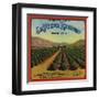 La Verne Rancho Brand - La Verne, California - Citrus Crate Label-Lantern Press-Framed Art Print