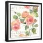 La Vie En Rose I-Julie Paton-Framed Premium Giclee Print