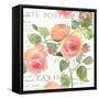 La Vie En Rose I-Julie Paton-Framed Stretched Canvas