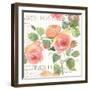 La Vie En Rose I-Julie Paton-Framed Art Print