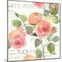 La Vie En Rose I-Julie Paton-Mounted Art Print