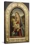 La Vierge à l'églantine-Sebastiano Mainardi-Stretched Canvas