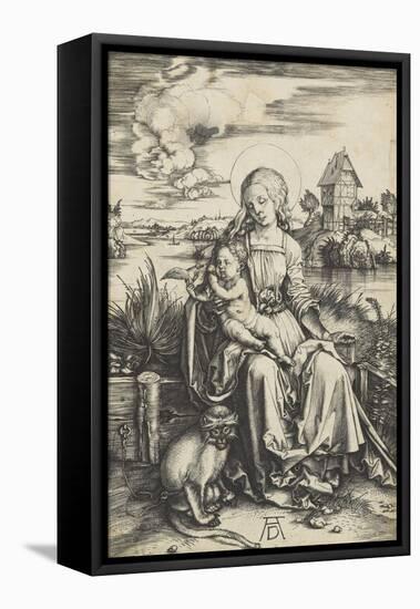 La Vierge à l'Enfant au macaque-Albrecht Dürer-Framed Stretched Canvas