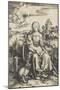 La Vierge à l'Enfant au macaque-Albrecht Dürer-Mounted Giclee Print