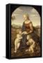 La Vierge à l'Enfant avec le petit saint Jean-Baptiste dite "La Belle Jardinière"-Raffaello Sanzio-Framed Stretched Canvas