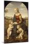 La Vierge à l'Enfant avec le petit saint Jean-Baptiste dite "La Belle Jardinière"-Raffaello Sanzio-Mounted Giclee Print