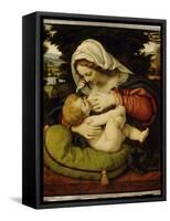 La Vierge au coussin vert-Andrea Solario-Framed Stretched Canvas