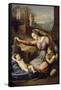 La Vierge au voile bleu-Raffaello Sanzio-Framed Stretched Canvas