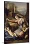 La Vierge au voile bleu-Raffaello Sanzio-Stretched Canvas