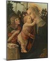 La Vierge avec l'Enfant et St. Jean-Sandro Botticelli-Mounted Premium Giclee Print