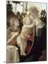 La Vierge et l'Enfant avec Saint Jean-Baptiste enfant-Sandro Botticelli-Mounted Giclee Print