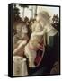 La Vierge et l'Enfant avec Saint Jean-Baptiste enfant-Sandro Botticelli-Framed Stretched Canvas