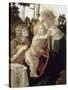 La Vierge et l'Enfant avec Saint Jean-Baptiste enfant-Sandro Botticelli-Stretched Canvas