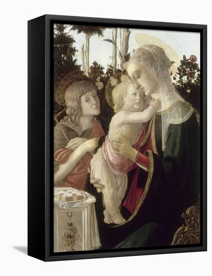 La Vierge et l'Enfant avec Saint Jean-Baptiste enfant-Sandro Botticelli-Framed Stretched Canvas