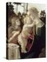 La Vierge et l'Enfant avec Saint Jean-Baptiste enfant-Sandro Botticelli-Stretched Canvas