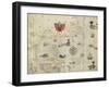 La Virgenia Pars: a Map of the East Coast of N. America-John White-Framed Art Print