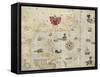 La Virgenia Pars: a Map of the East Coast of N. America-John White-Framed Stretched Canvas