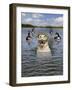 Lab And Geese-J Hovenstine Studios-Framed Giclee Print