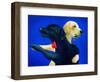 Lab Dance-Will Bullas-Framed Premium Giclee Print