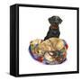 Lab Dogs-Wendy Edelson-Framed Stretched Canvas