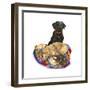 Lab Dogs-Wendy Edelson-Framed Giclee Print