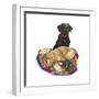 Lab Dogs-Wendy Edelson-Framed Giclee Print