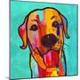 Lab Happy!-Evangeline Taylor-Mounted Art Print