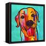 Lab Happy!-Evangeline Taylor-Framed Stretched Canvas