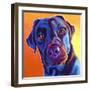 Lab - Kona-Dawgart-Framed Giclee Print