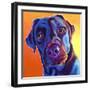 Lab - Kona-Dawgart-Framed Giclee Print