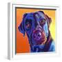 Lab - Kona-Dawgart-Framed Giclee Print