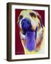 Lab - Mozart-Dawgart-Framed Giclee Print