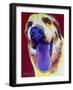 Lab - Mozart-Dawgart-Framed Giclee Print