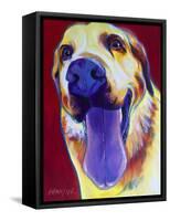 Lab - Mozart-Dawgart-Framed Stretched Canvas