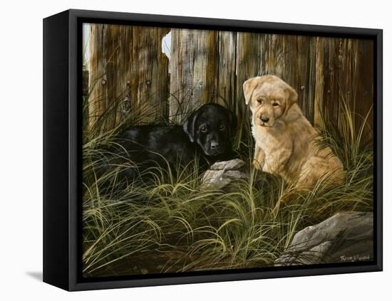 Lab Pup Pair-Trevor V. Swanson-Framed Stretched Canvas