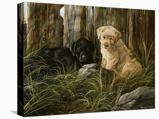 Lab Pup Pair-Trevor V. Swanson-Stretched Canvas